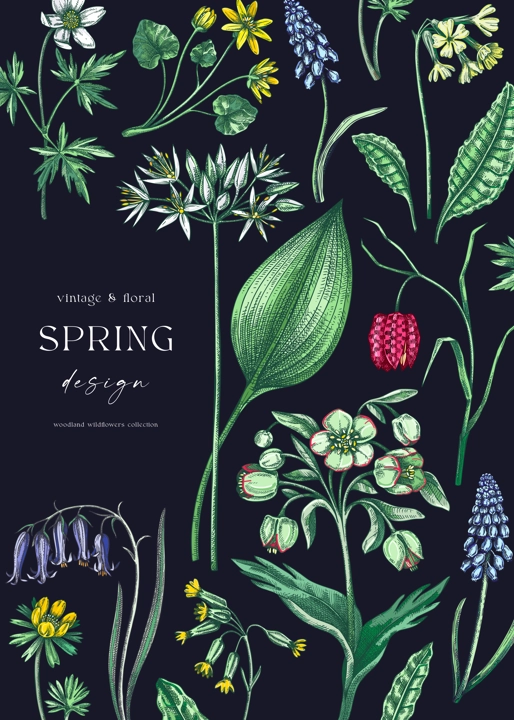 Elegant spring poster design. Wildflowers print in color. Woodland wild flower sketches. Floral background. Botanical card, invitation template . Hand drawn vector illustration, NOT AI